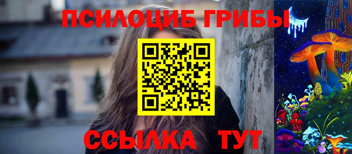Краснокамск  Галлюциногенные грибы Psilocybine cubensis  Вход с VPN 